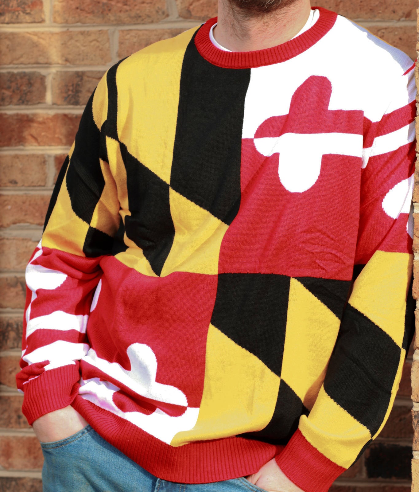 Maryland Flag Pattern / Knit Sweater