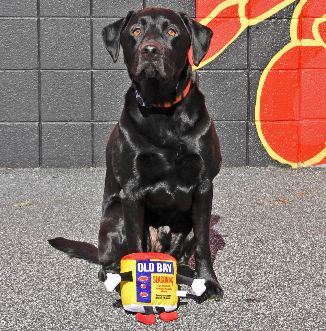 Old Bay Can / Dog Toy - Route One Apparel