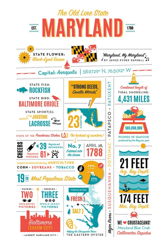 Maryland Infographic (11"x17") / Art Print - Route One Apparel