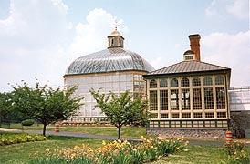 Let Maryland Pride Bloom! 5 Local Gardens
