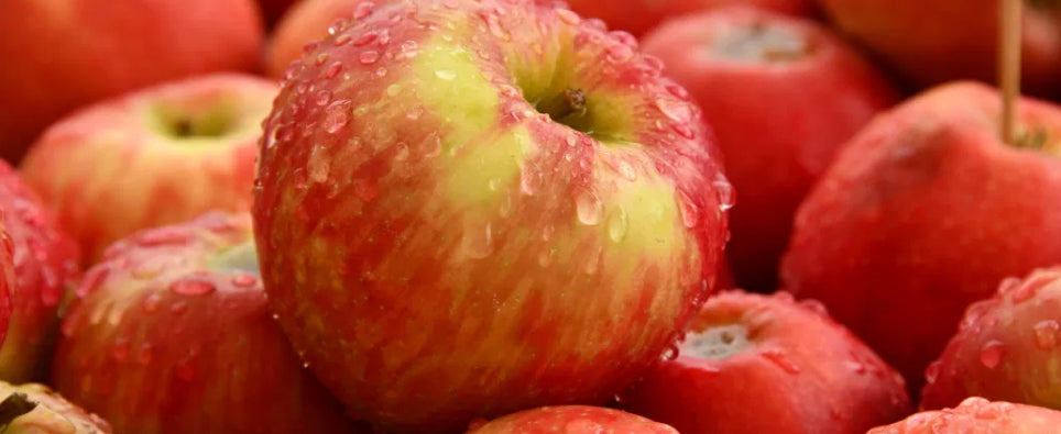 Love Maryland Apples? We've Got 7 Recipes!
