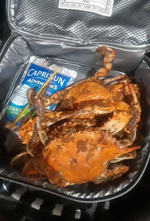 Tell Me You're From Maryland, Without Telling Me You're From Maryland