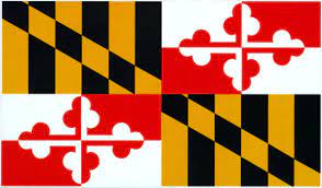 Become The Maryland Spelling Bee Champ!