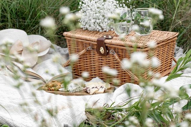 10 Hacks For The Best Picnic Ever!