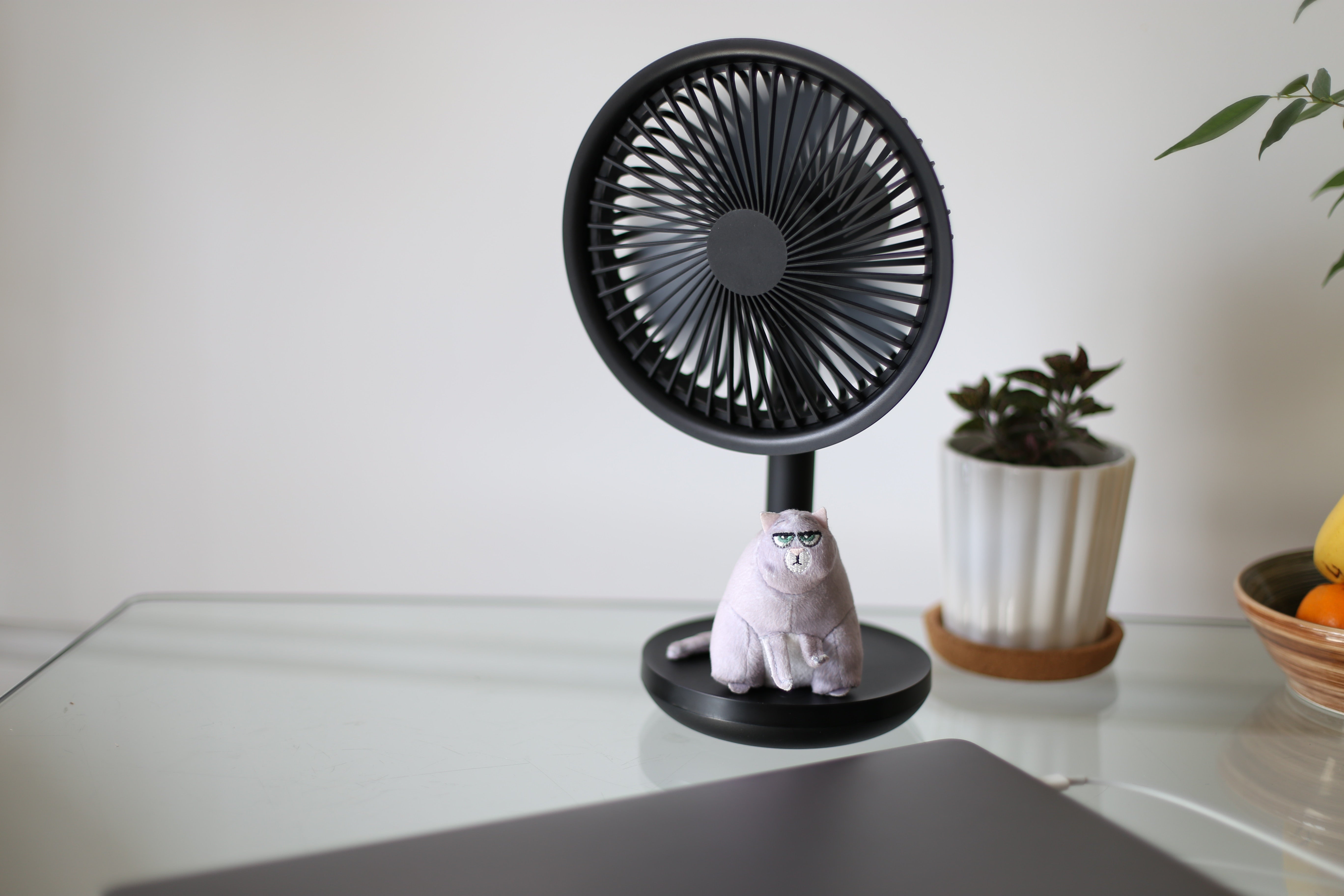 Keep It Cool (Even Without AC) During A Maryland Summer