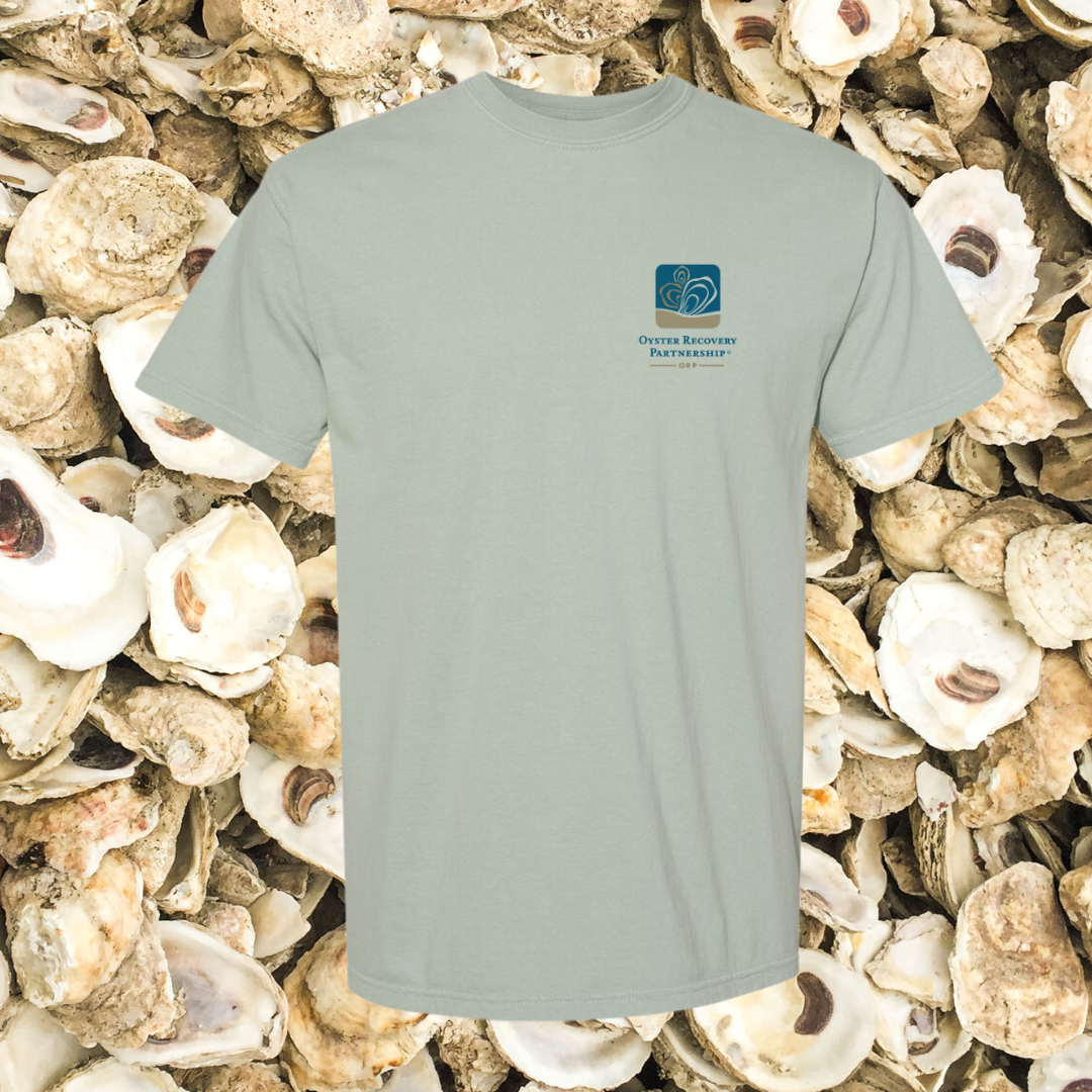 *COMING SOON* Oyster Recovery Partnership Graphic Tee (Sage) / Shirt - Route One Apparel
