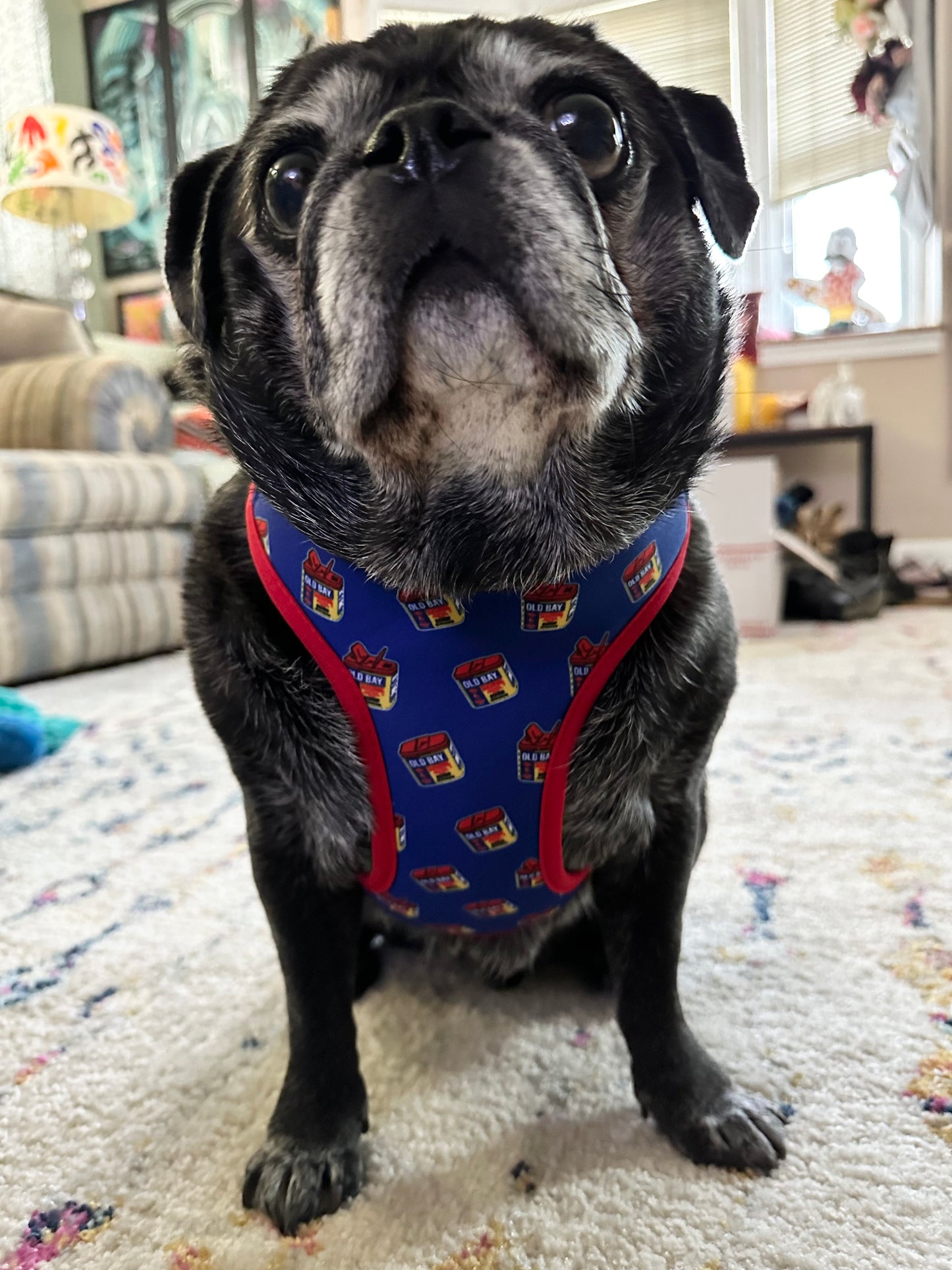 OLD BAY 3-D Can Pattern / Dog Harness