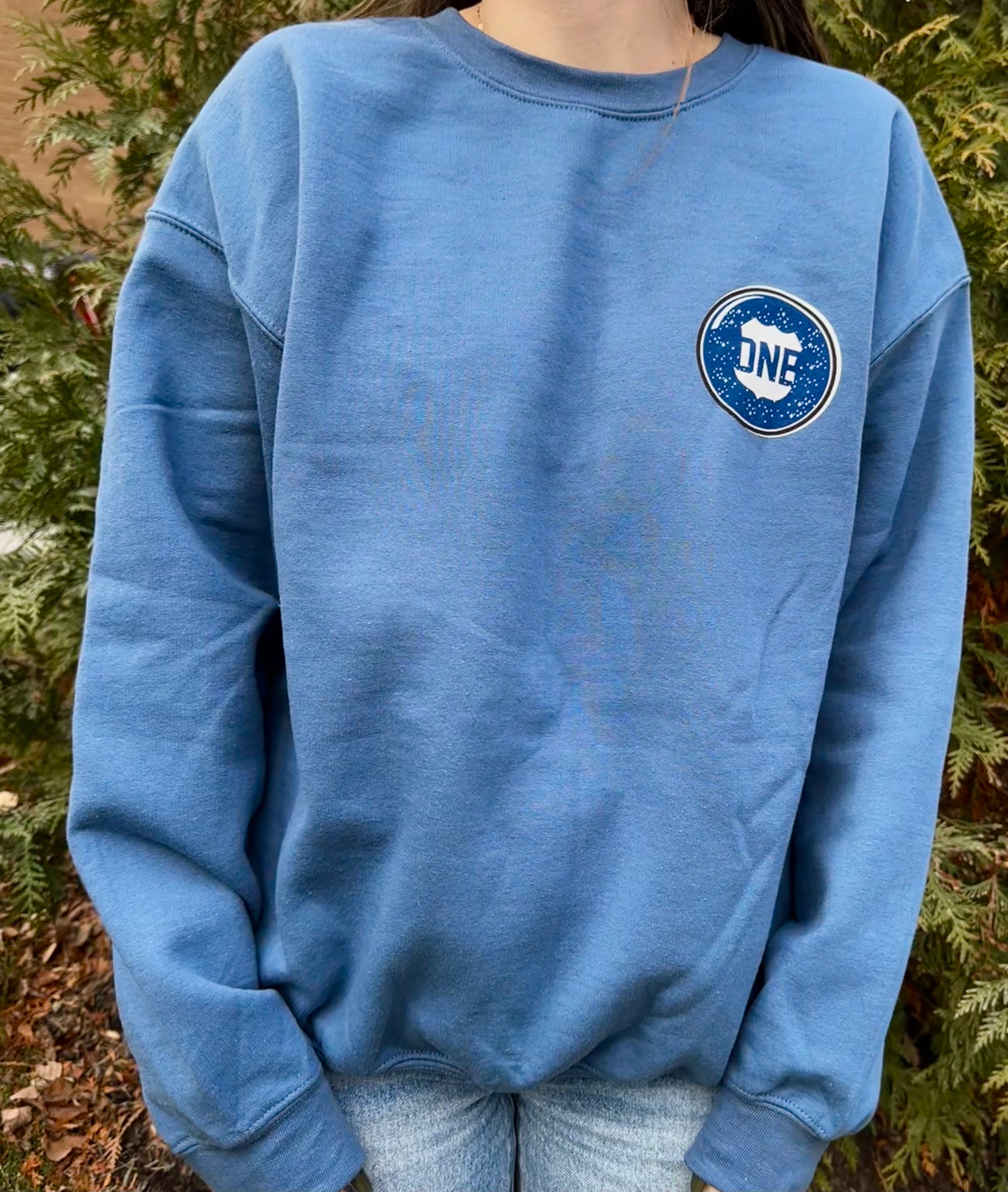 Baltimore Snowy Street (Blue) / Crew Sweatshirt - Route One Apparel