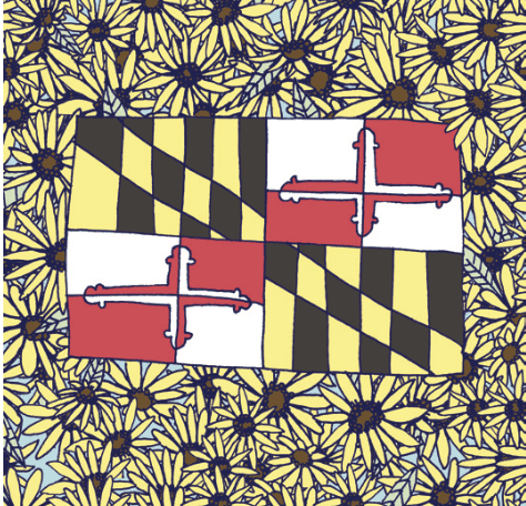 Maryland Flag and Black Eyed Susan / Throw Pillow