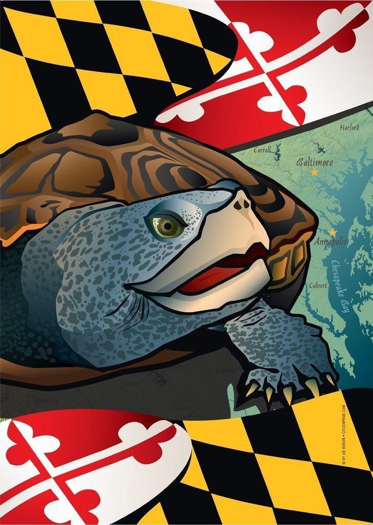 Maryland Terrapin / Garden Flag - Route One Apparel