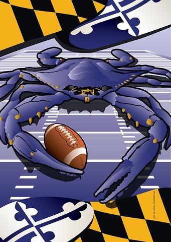 Raven Sports Crab / Garden Flag - Route One Apparel