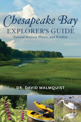 Chesapeake Bay Explorer's Guide: Natural History, Plants, and Wildlife / Book - Route One Apparel