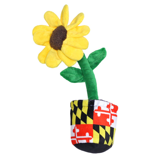 Black Eyed Susan / Dog Toy - Route One Apparel