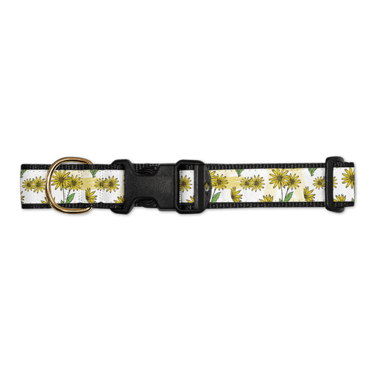 Black Eyed Susan / Dog Collar - Route One Apparel