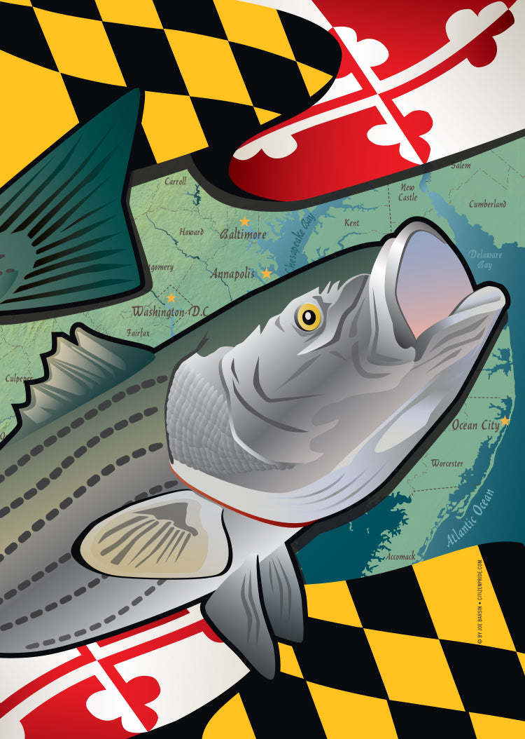 Maryland Rockfish / House Flag - Route One Apparel