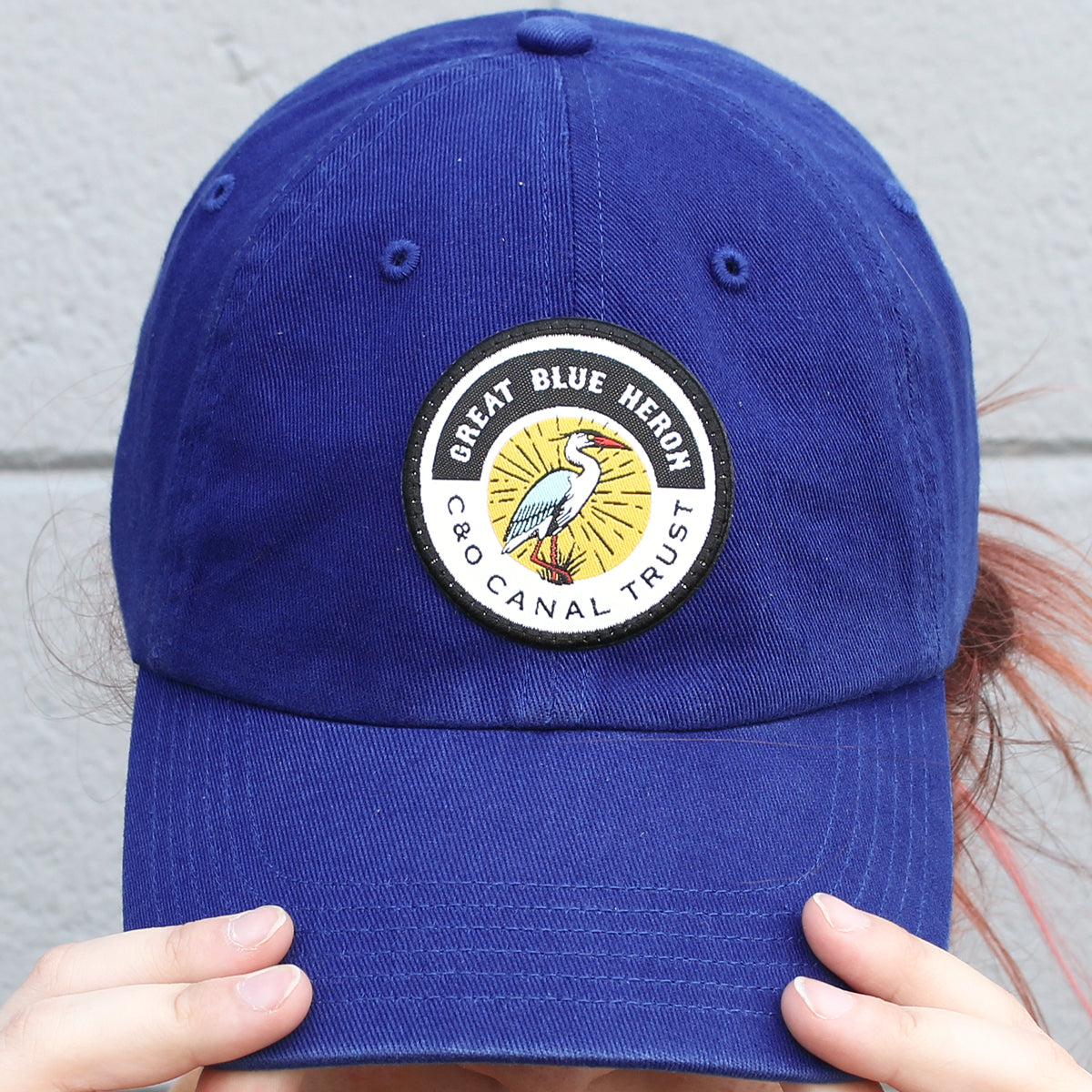C&O Canal Trust Blue Heron (Blue) /  Baseball Hat - Route One Apparel