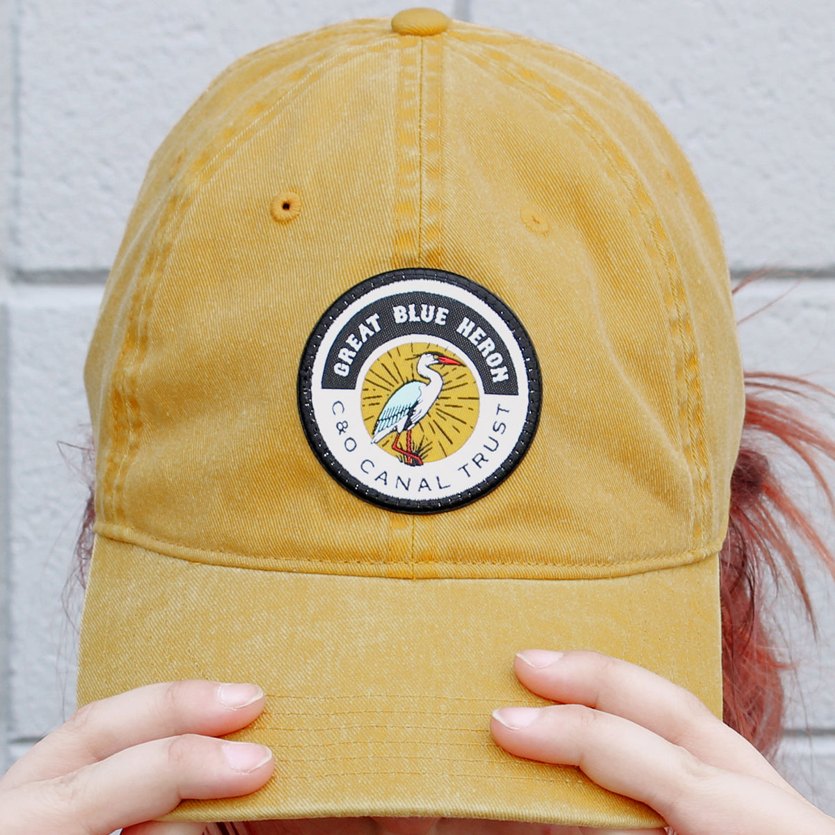 C&O Canal Trust Blue Heron (Mustard) /  Baseball Hat - Route One Apparel