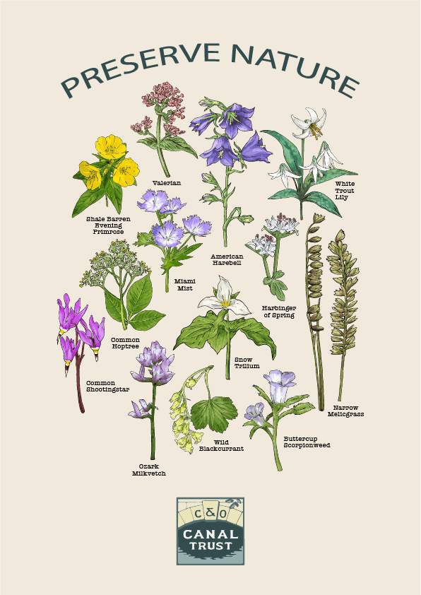 *COMING SOON* C&O Canal Preserve Nature (Blue) / Shirt - Route One Apparel