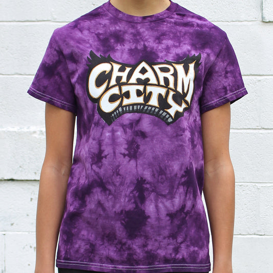 Charm City Wingspan (Crystal Purple) / Shirt - Route One Apparel