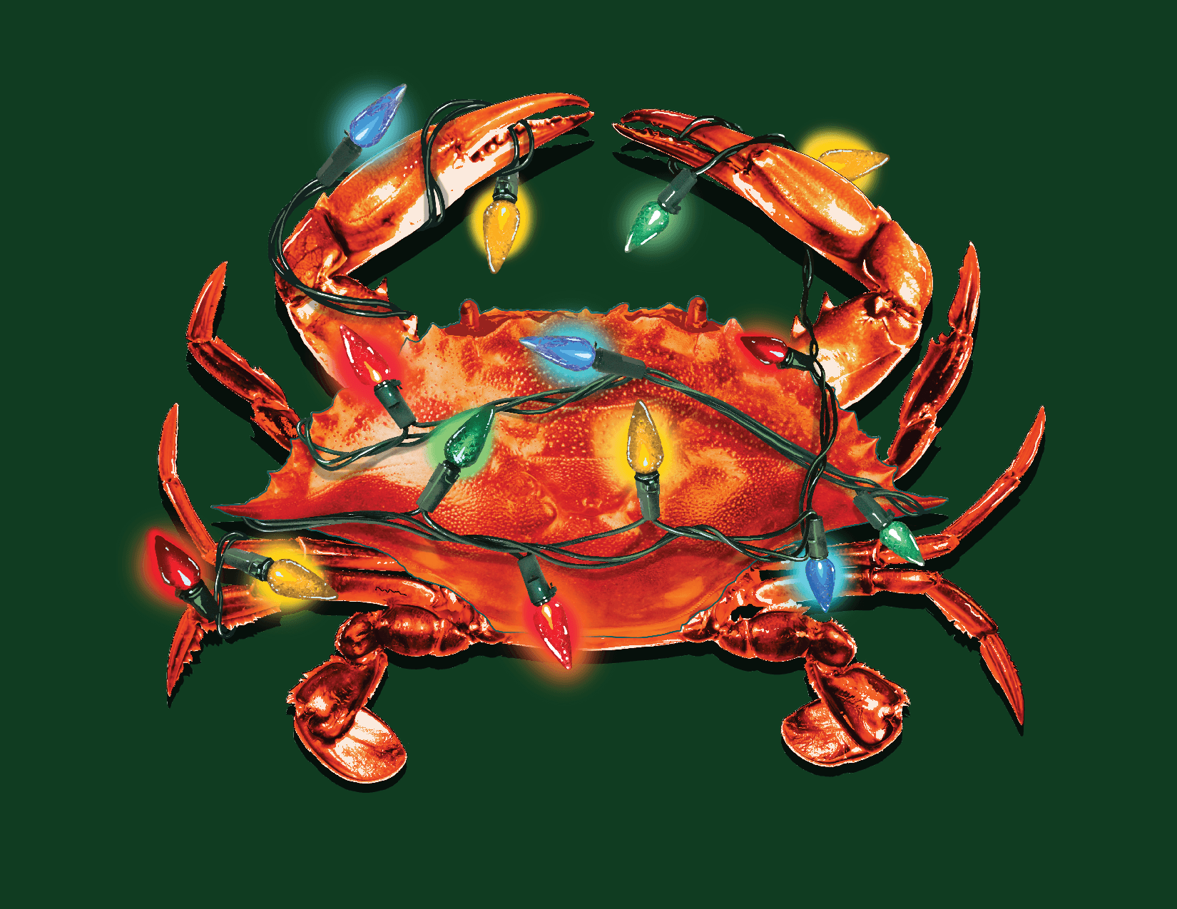 Crab Lights (Green) / 8-Pack Christmas Cards - Route One Apparel