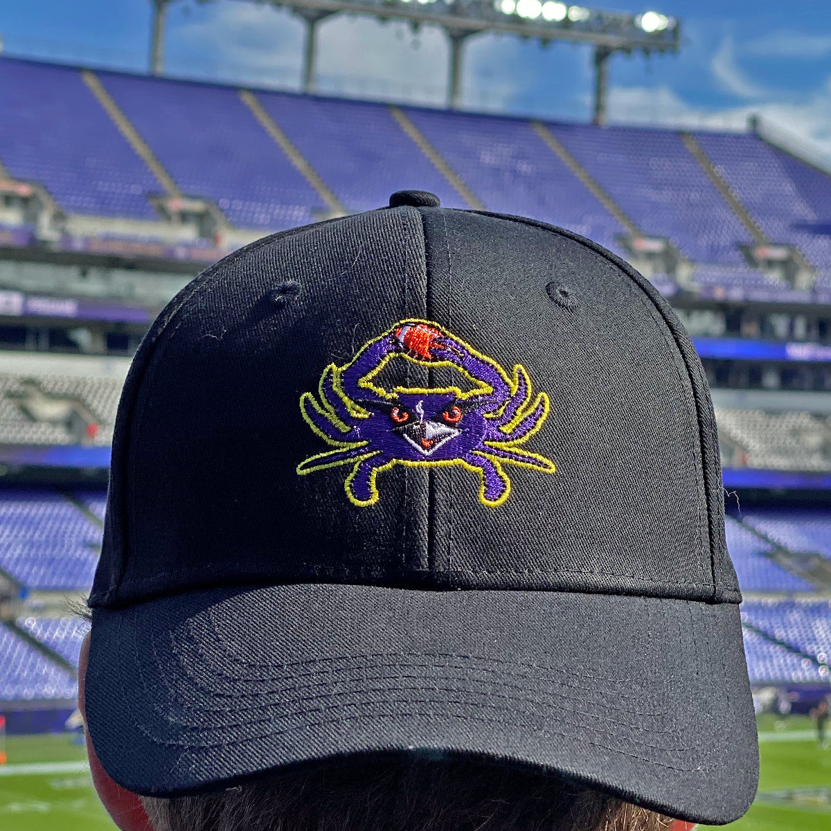 Football Purple Crab (Black) / Baseball Hat - Route One Apparel
