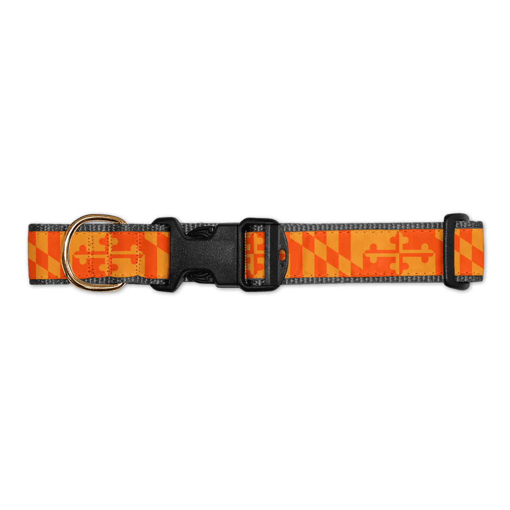 Maryland Flag (Orange) / Dog Collar - Route One Apparel