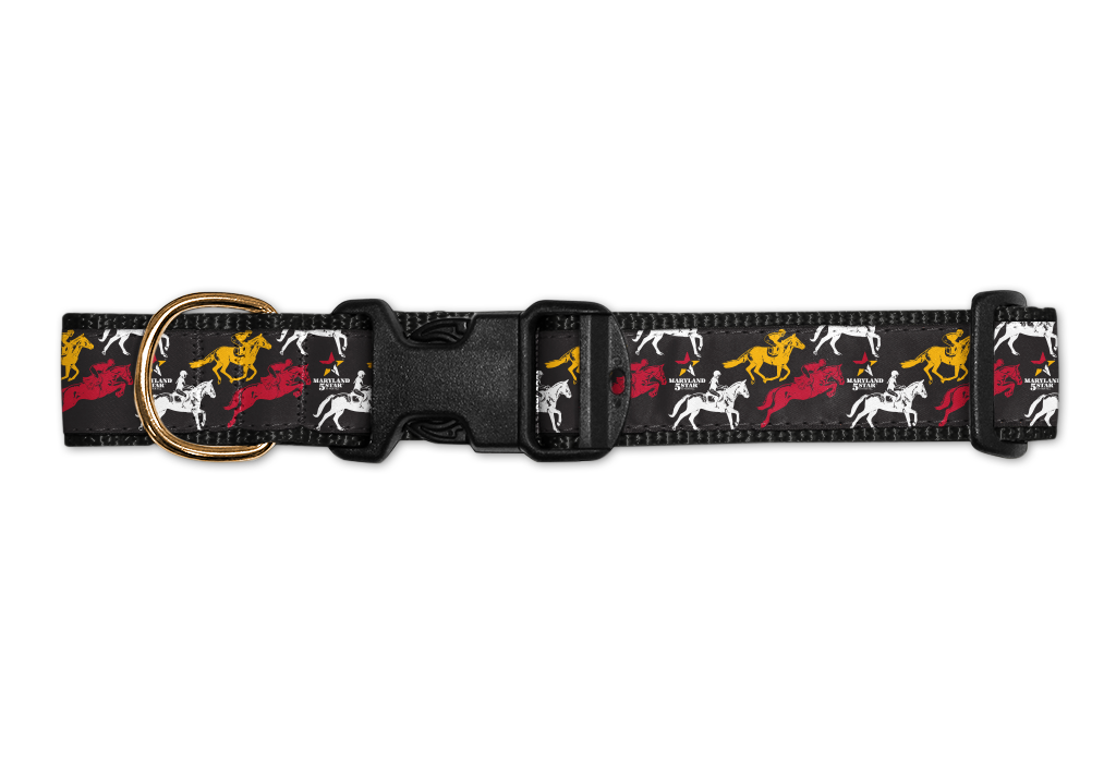 Maryland 5 Star / Dog Collar - Route One Apparel