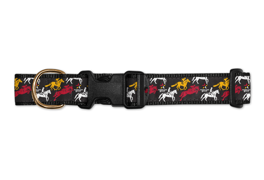 Maryland 5 Star / Dog Collar - Route One Apparel