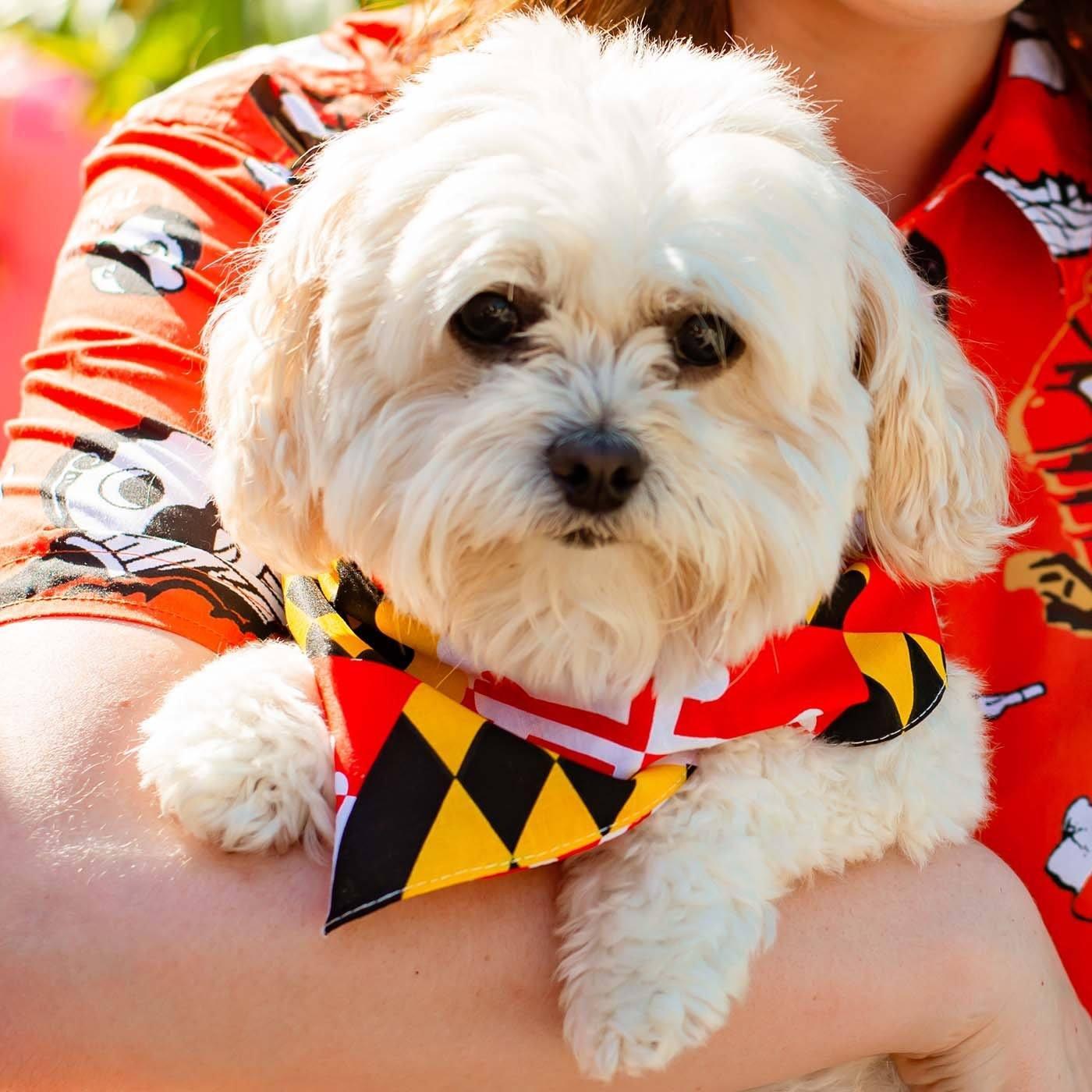 Maryland Flag / Bandana (22 x 22 inch) - Route One Apparel