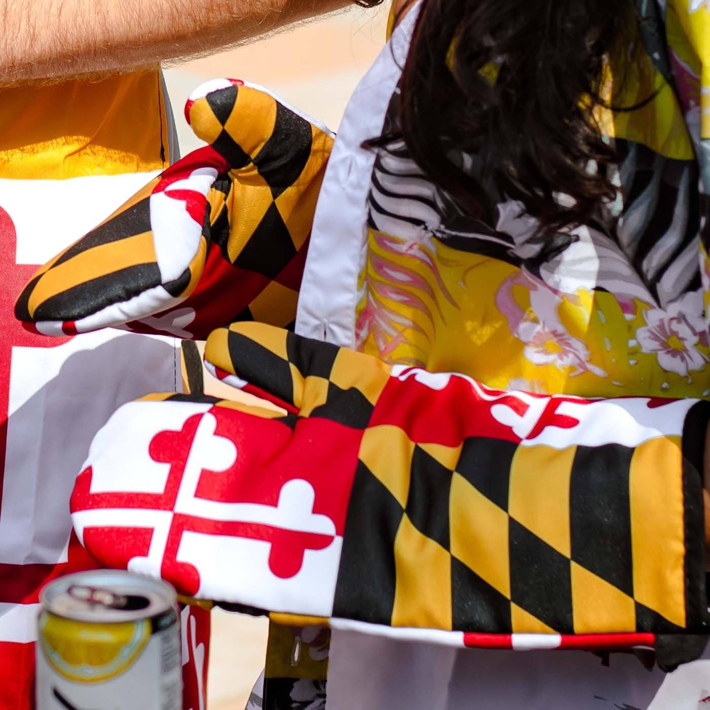 Maryland Flag / Oven Mitt - Route One Apparel