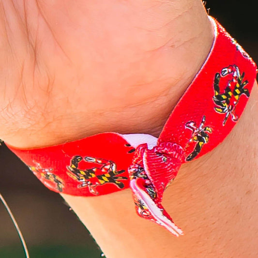 Lacrosse Crab Maryland Flag / 5-Piece Hair Tie Set - Route One Apparel