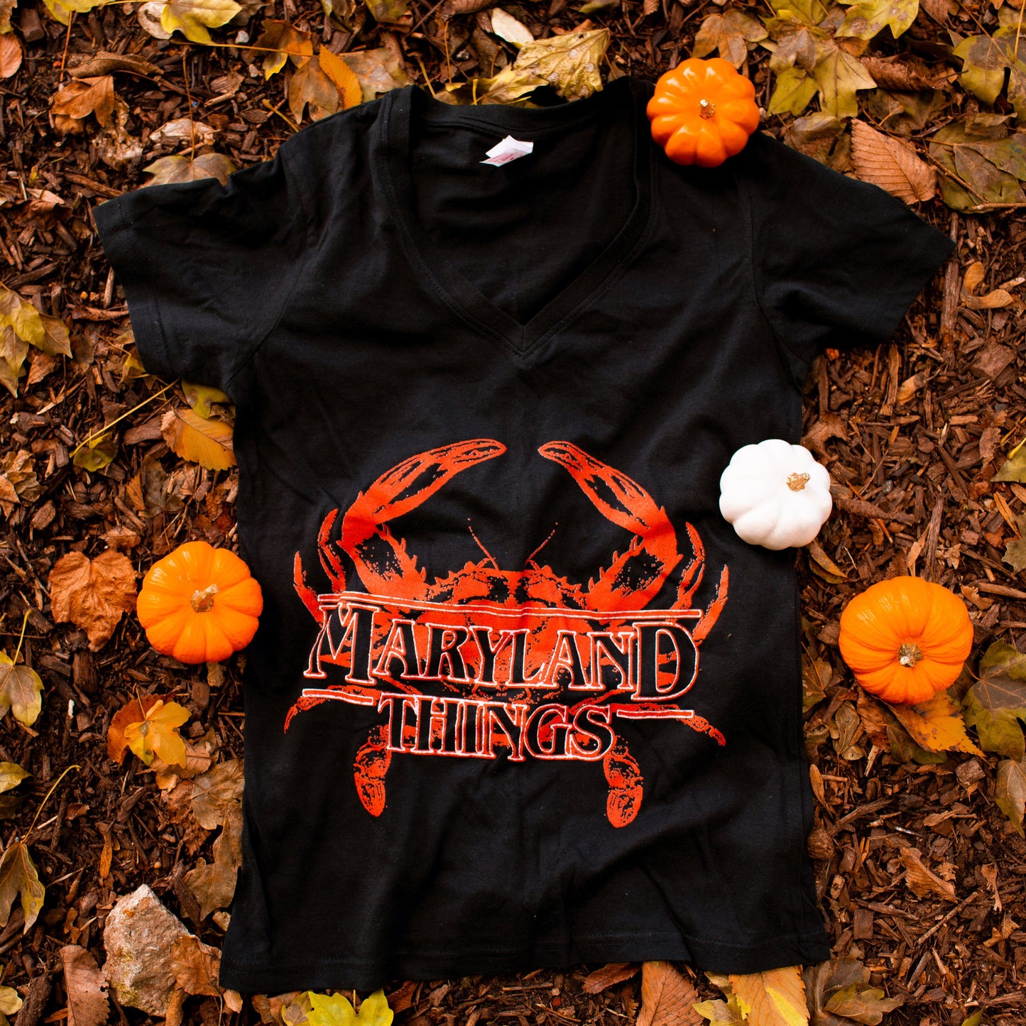 Maryland Things (Black) / Ladies V-Neck Shirt - Route One Apparel