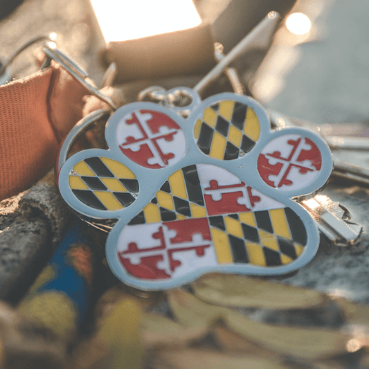 Maryland Flag Paw Print / Metal Key Chain - Route One Apparel