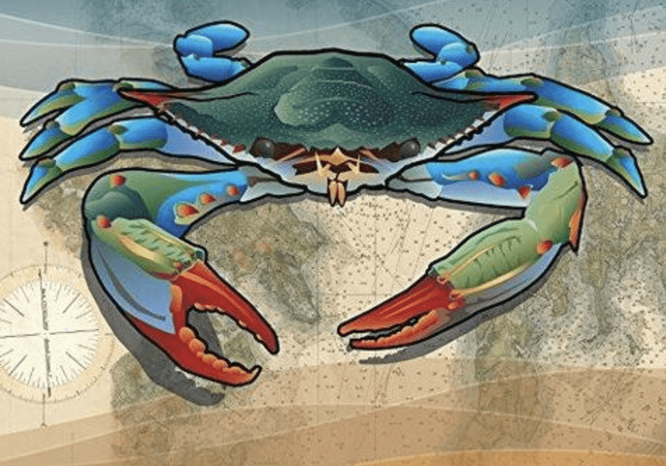 Coastal Blue Crab 7inX5in / Card - Route One Apparel