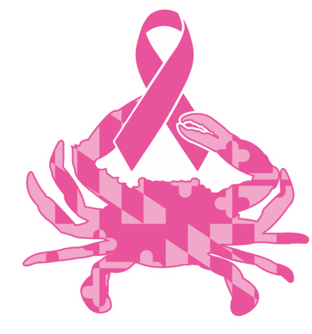Pink Maryland Full Flag Crab *Breast Cancer Awareness Special Edition* / Sticker - Route One Apparel