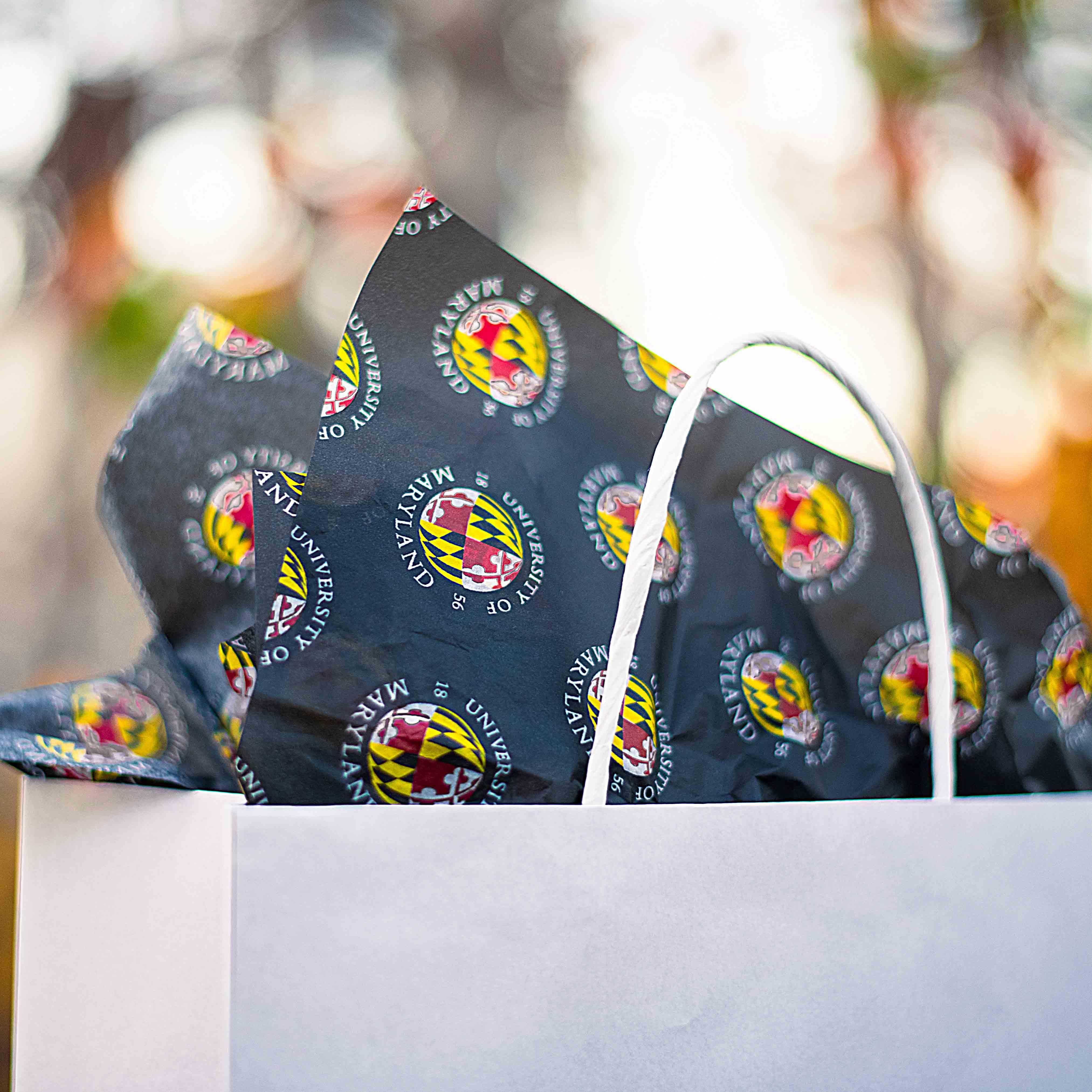 UMD Flag Globe Pattern (Black) / Tissue Paper Pack - Route One Apparel