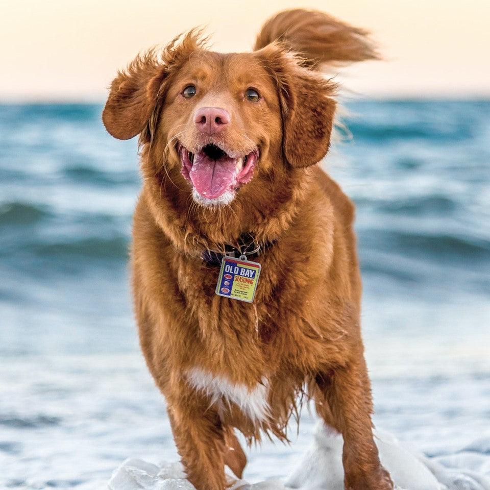 OLD BAY Can / Pet ID Tag - Route One Apparel