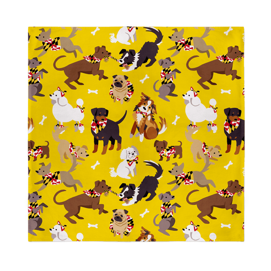 Maryland Doggies (Yellow) / Bandana (22 x 22 inch) - Route One Apparel