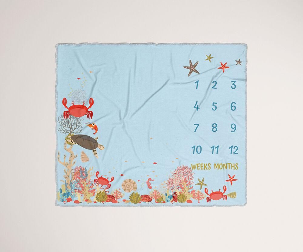 Under the Sea / Milestone Baby Blanket - Route One Apparel