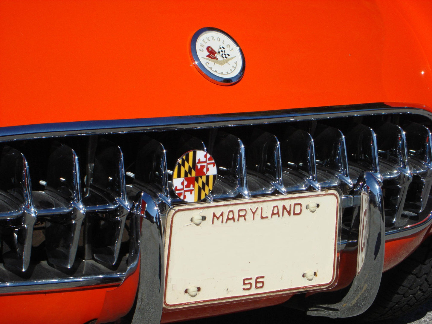 Maryland Flag / License Plate Topper - Route One Apparel