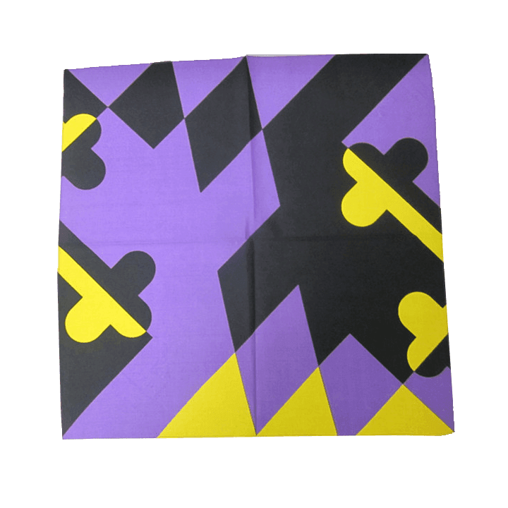 Purple & Gold Maryland Flag / Bandana (22 x 22 inch) - Route One Apparel